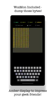 virtualkim - 6502 emulator iphone capturas de pantalla 3