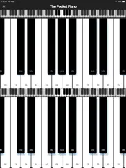 the pocket piano ipad images 1