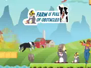 collierun - dog agility game ipad images 4