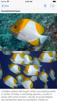 scuba fish hawaii iPhone Captures Décran 3
