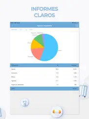 gastos y ingresos ipad capturas de pantalla 3