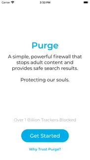 purge: porn blocker & safe dns iphone images 1