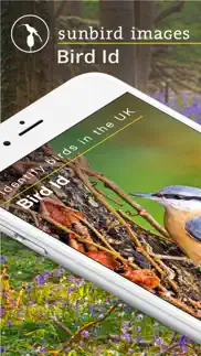 bird id - british isles birds iphone images 1