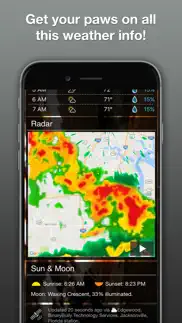 weather puppy forecast + radar iphone images 3