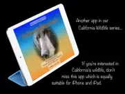 california mammals ipad capturas de pantalla 1