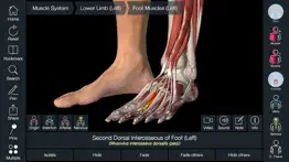 essential anatomy 5 iphone capturas de pantalla 4