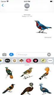 vintage bird stickers iphone images 1