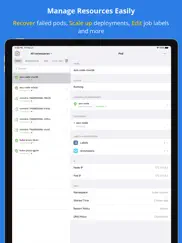 kuber - kubernetes dashboard iPad Captures Décran 2