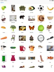 english words, nouns and test ipad images 3