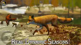 ultimate fox simulator 2 iphone resimleri 4