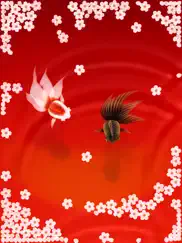 wa kingyo le - poisson rouge iPad Captures Décran 1