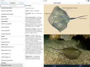 eguide to sharks and rays ipad resimleri 4