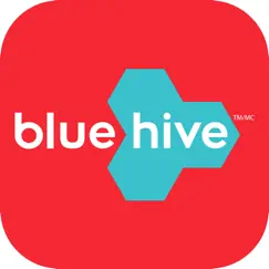 bluehive insta print revisión, comentarios