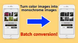 convert images to monochrome iphone images 1