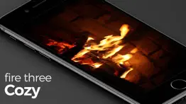 ultimate fireplace pro iphone images 4