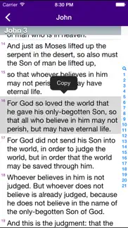 bible for catholics iphone images 3