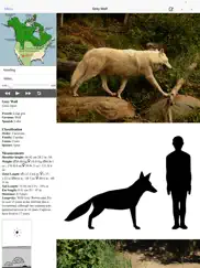 stuarts north american mammals ipad images 3