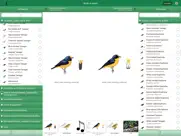 birds of brazil ipad images 3