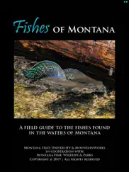 fishes of montana ipad images 1