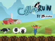 collierun - dog agility game ipad images 1
