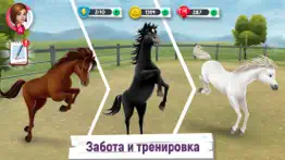 Истории о лошадях айфон картинки 4