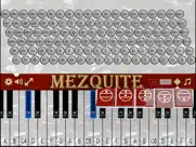 mezquite piano accordion ipad images 3