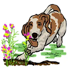 basset hound dog emoji sticker logo, reviews