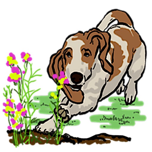 Basset Hound Dog Emoji Sticker app reviews download