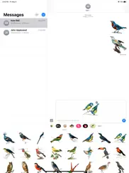 vintage bird stickers ipad images 2
