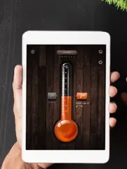 digital thermometer app ipad images 1