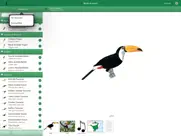 birds of brazil ipad images 4