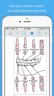 dental dictionary by farlex iphone resimleri 3