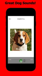 beagle sounds & dog sounds! iphone images 3