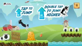 collierun - dog agility game iphone images 3