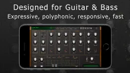 roxsyn guitar synthesizer iphone resimleri 2