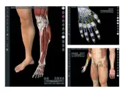 essential anatomy 5 ipad images 4