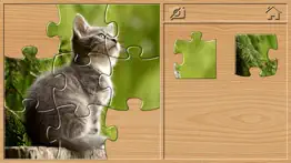 animal puzzle game for kids 3+ iphone resimleri 2