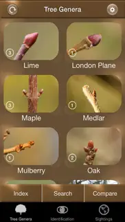 winter tree id - british isles iphone capturas de pantalla 1