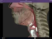 dysphagia iPad Captures Décran 2
