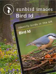 bird id - british isles birds ipad images 1