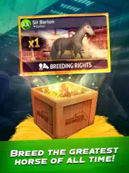 horse racing manager 2020 ipad images 4