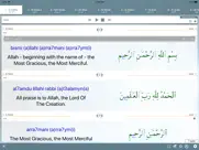 islam pro quran - 2019 ipad capturas de pantalla 3