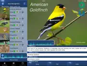 bird song id usa songs & calls ipad images 1
