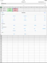 utility spreadsheet pro ipad capturas de pantalla 4
