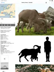 stuarts european mammals ipad images 2