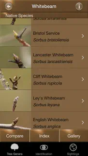 winter tree id - british isles iphone capturas de pantalla 2