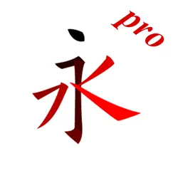 chinese character stroke pro logo, reviews