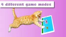 happycats pro игра для кошек айфон картинки 3