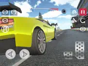 simulation pilote course auto iPad Captures Décran 1