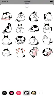 wuli cat iphone images 2
